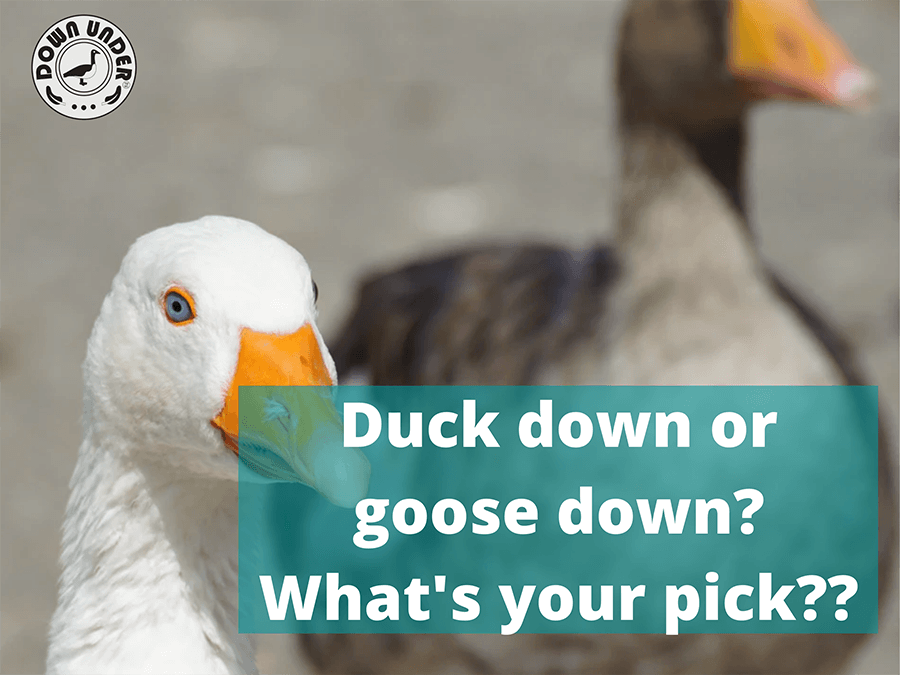 Difference between Duck Down and Goose Down?