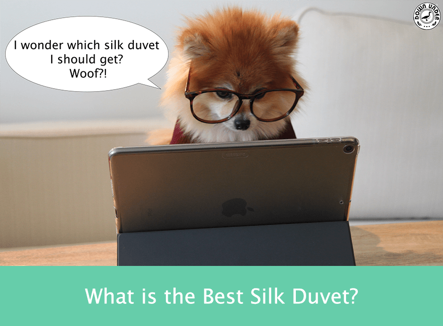 Review: The Best Silk Duvet