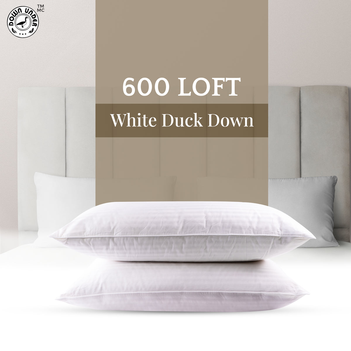 600 fill power white goose down