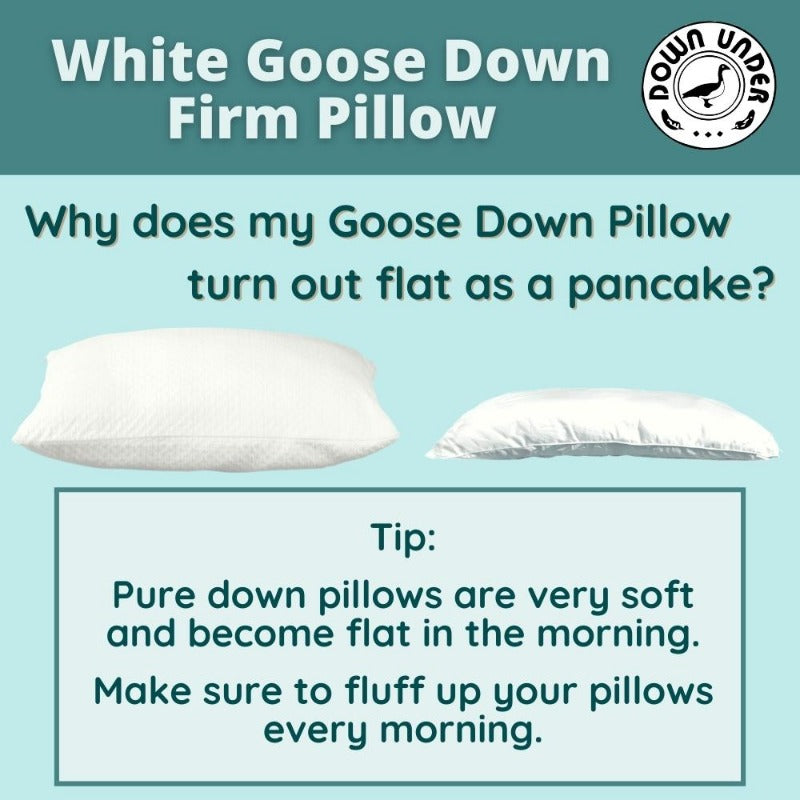 duck down pillows