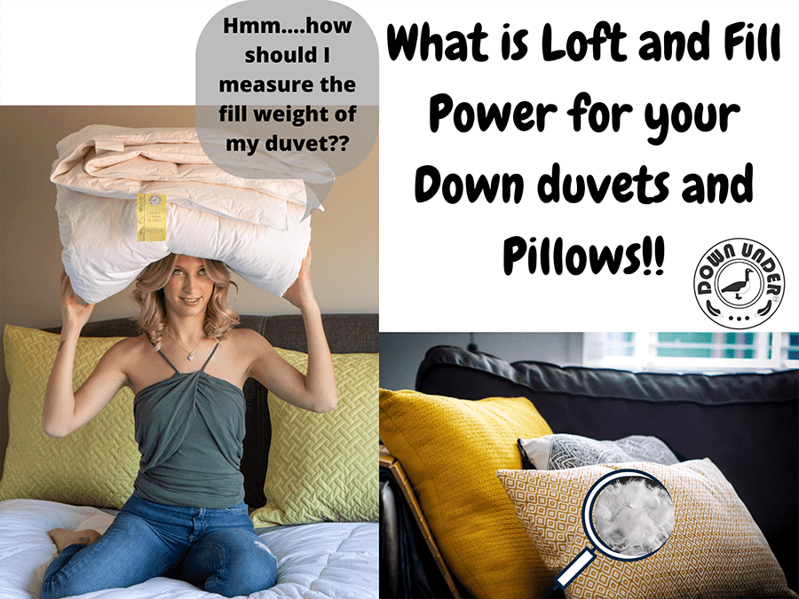 All You Need to Know about Down: Loft and Fill Power