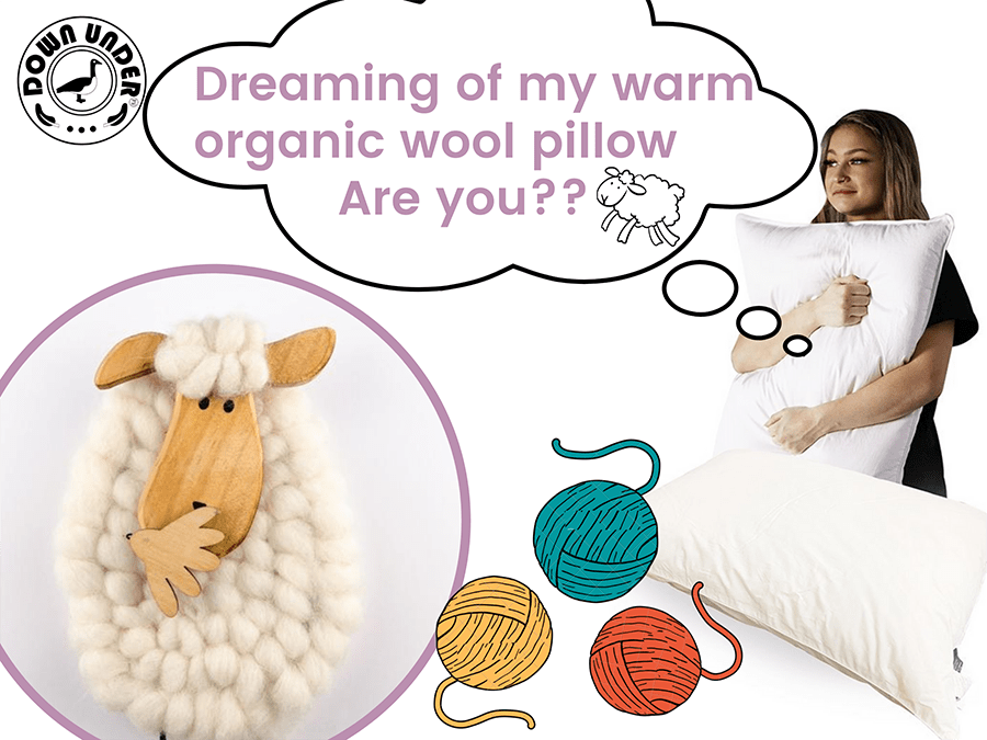 Best wool pillow 2020