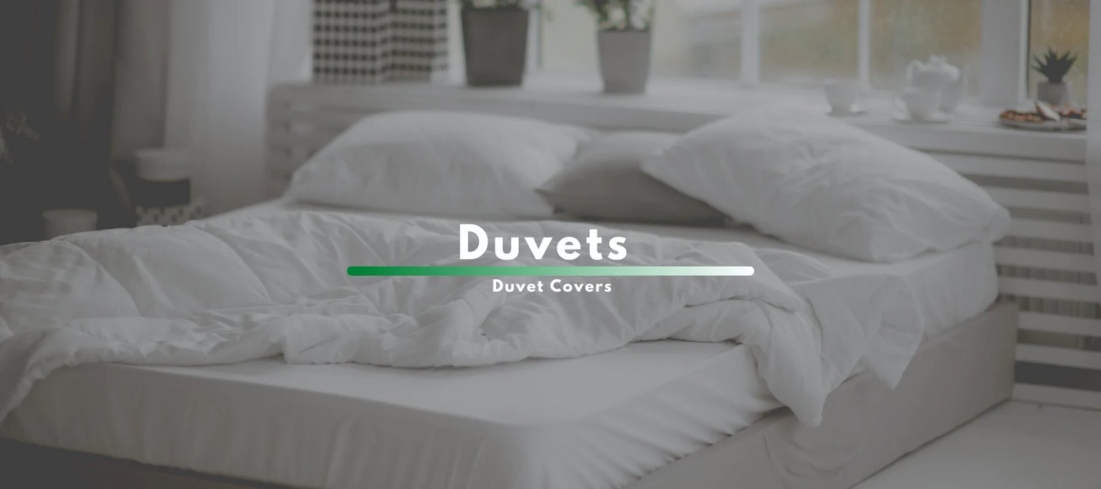 Down Duvets