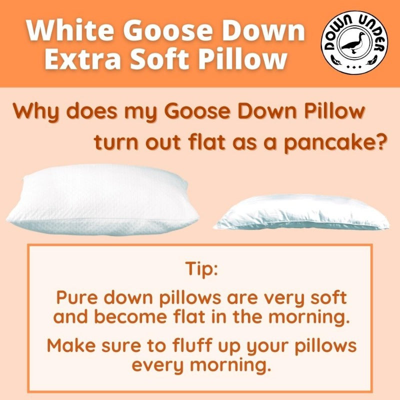 100% goose down pillows