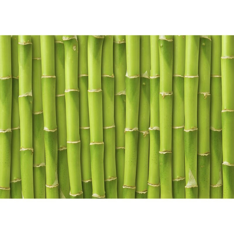 bamboo sheet