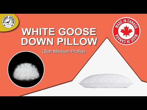 back sleeping pillow goose geese 550 loft white duck down pillows medium support anti-microbial cotton outer cover head neck